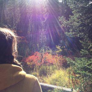 Meet your Posher, Charlotte